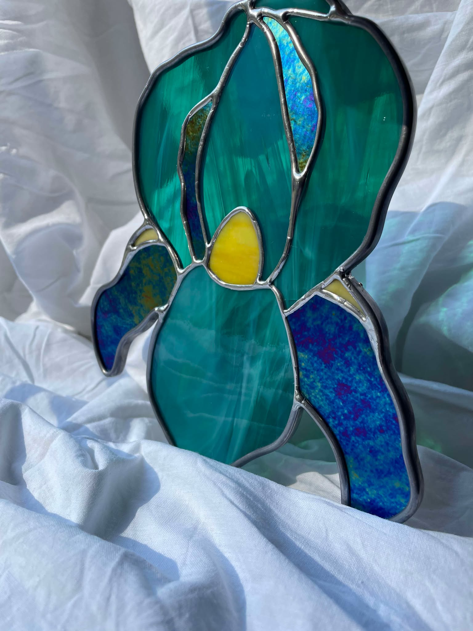 Iris