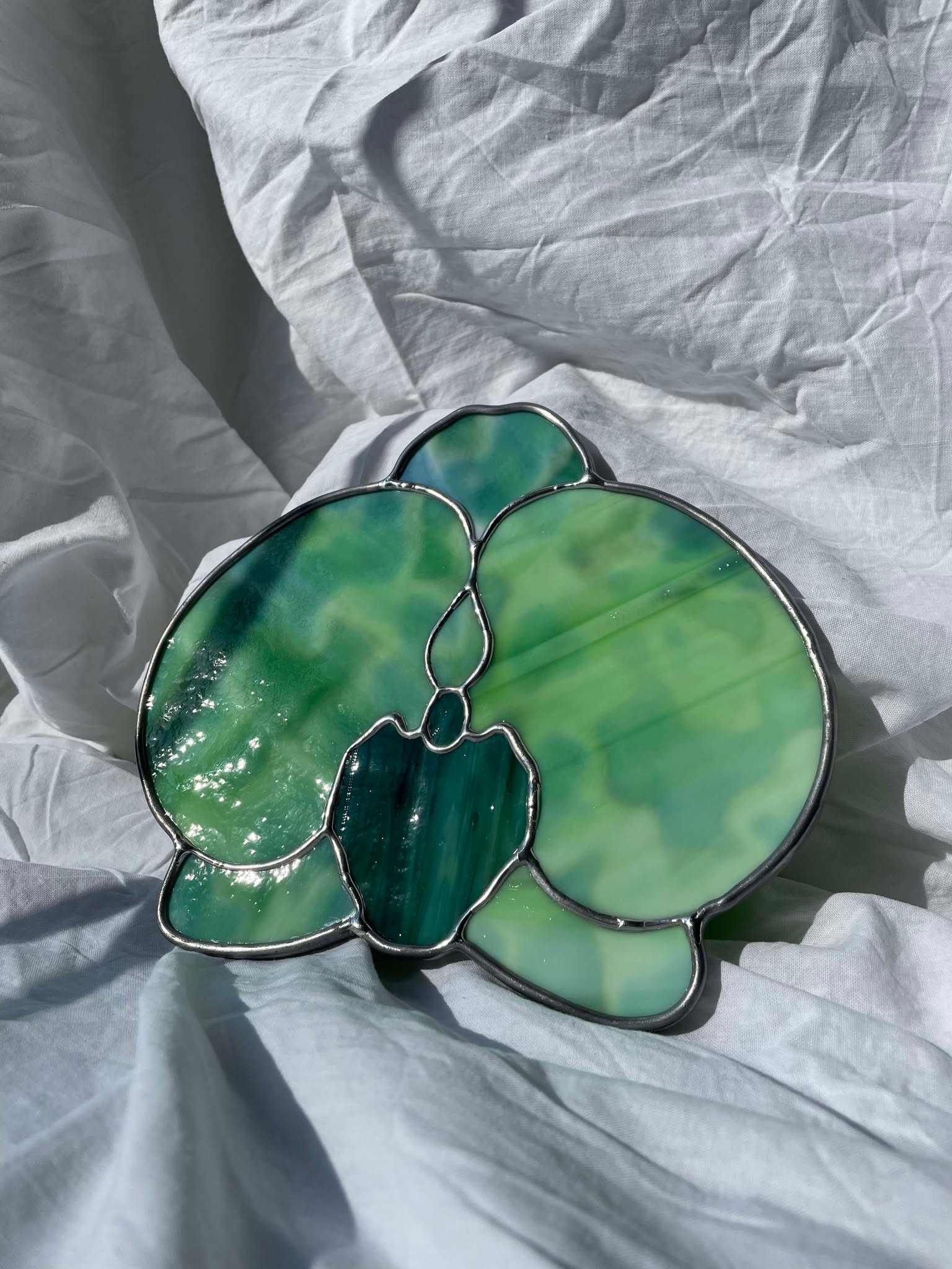 Orchidée verte
