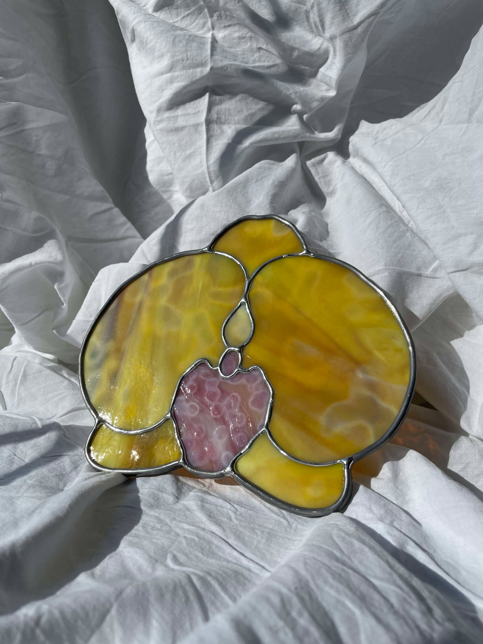 Orchidée jaune et rose
