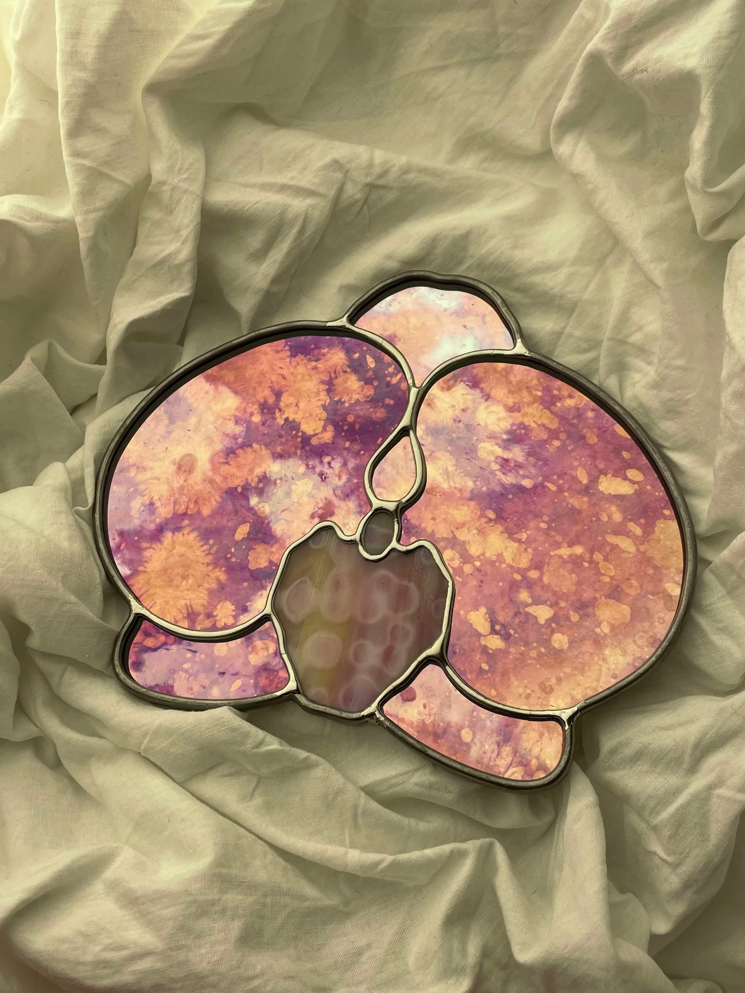 Orchidée miroir